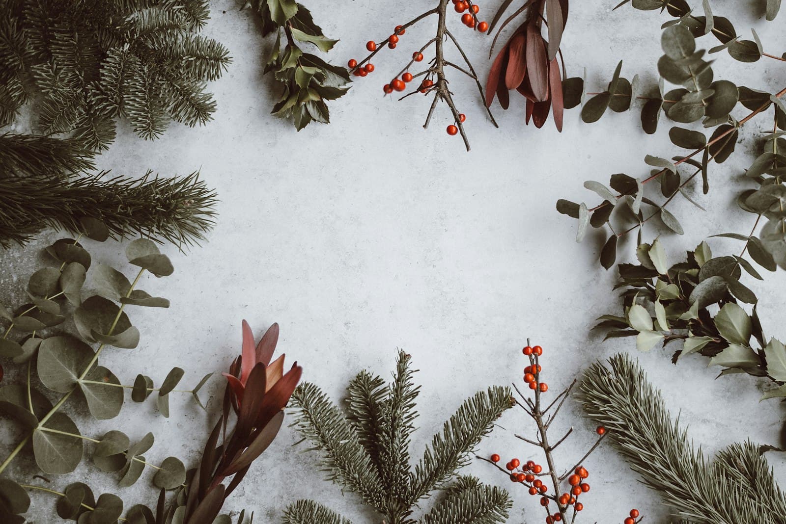 Winter greenery and berries styled as a flat lay