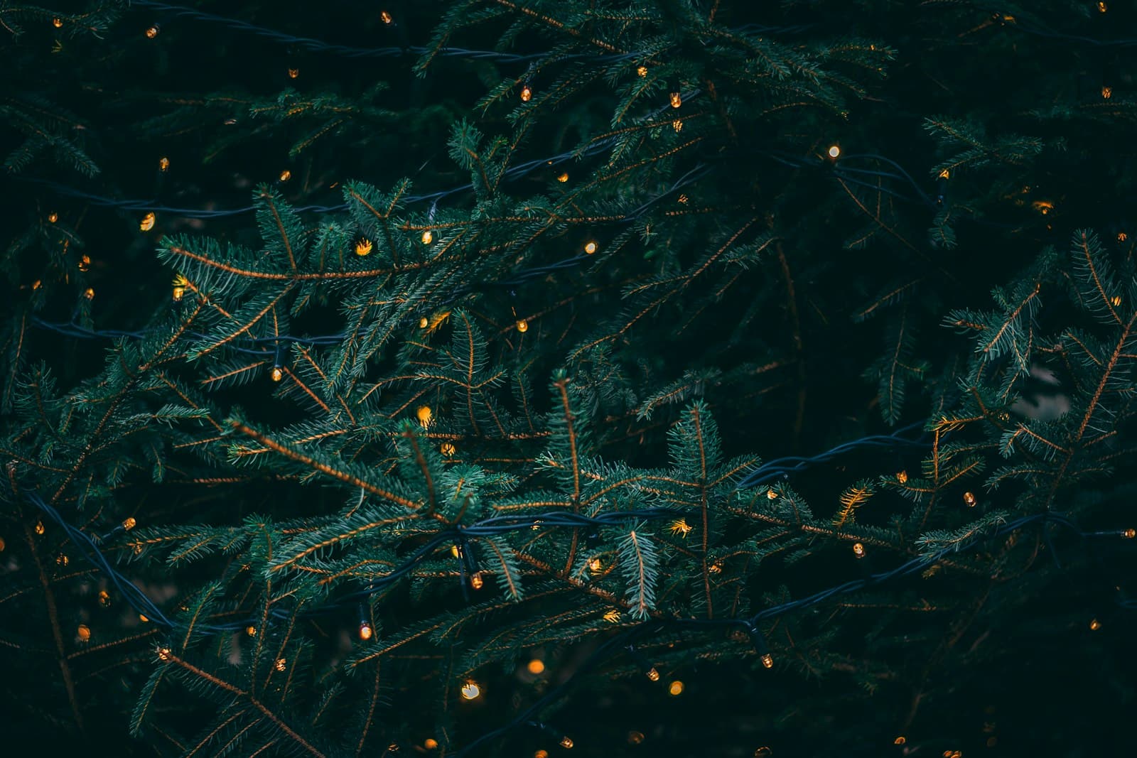 Fresh pine garland twinkling with fairy lights