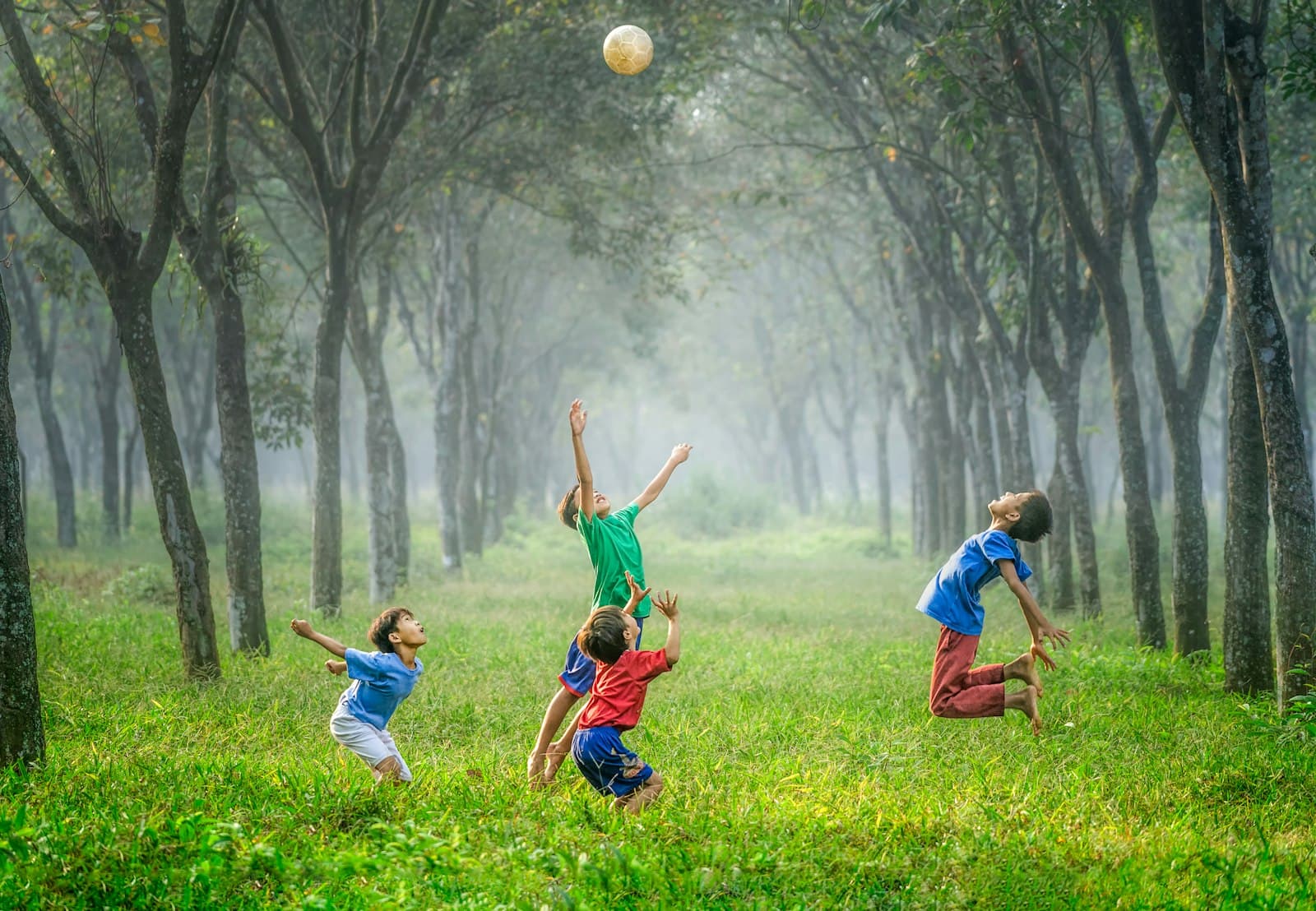 Children playing ball together in a green park
